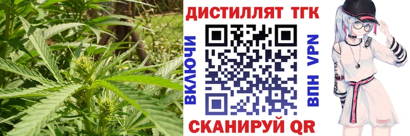 Дистиллят ТГК THC oil  Купить закладки  Власиха 