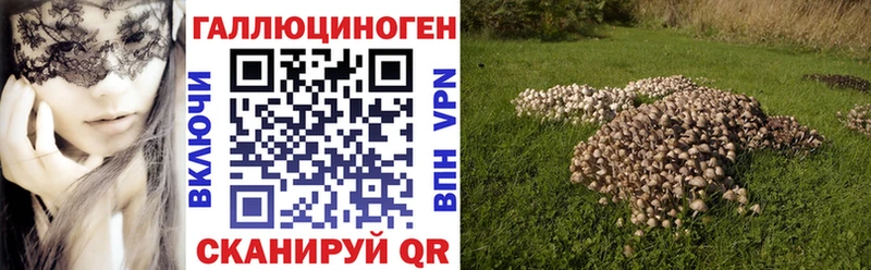 Галлюциногенные грибы мухоморы  Купить  Власиха 